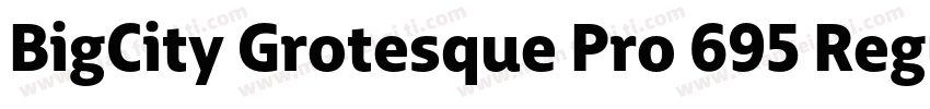 BigCity Grotesque Pro 695 Regular字体转换